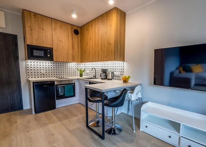 Uroczy Typu W Scislym Centrum Szczecina Διαμέρισμα *